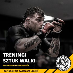 Post Social Media - Treningi sztuk walki